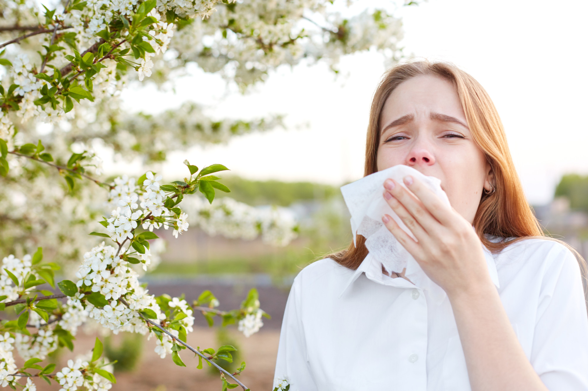 Can Spring Pollen Damage My Home’s HVAC System in Opelika, AL?