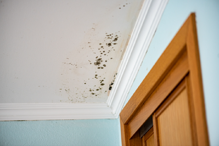 Mold on ceiling | Advanced Heating and Air Conditioning